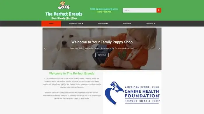 Screenshot of