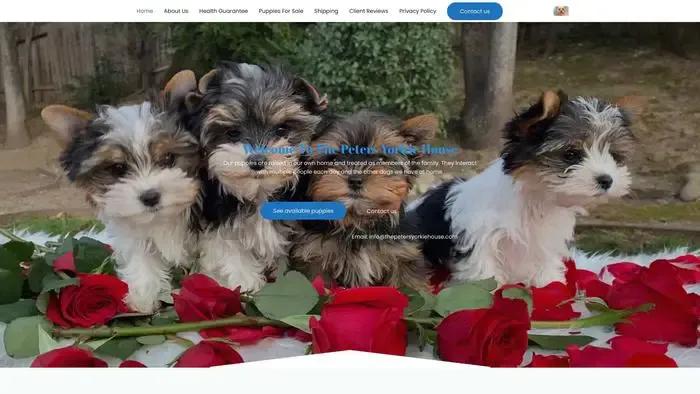 Screenshot of