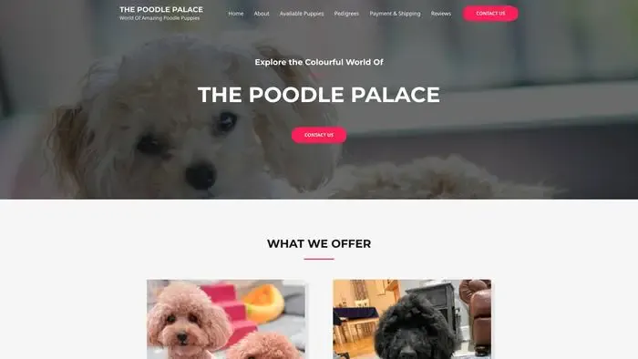 Screenshot of