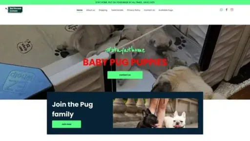 Screenshot of