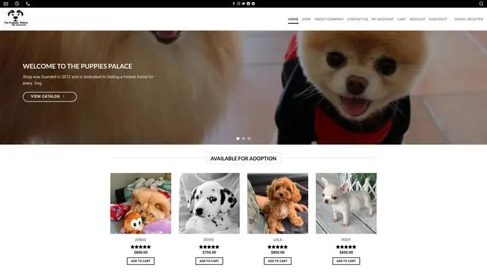 Screenshot of