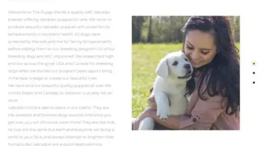 Screenshot of