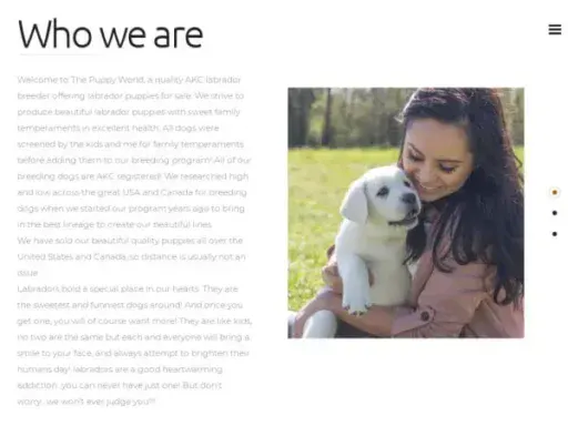 Screenshot of