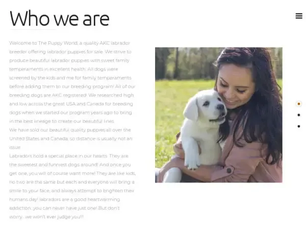 Screenshot of