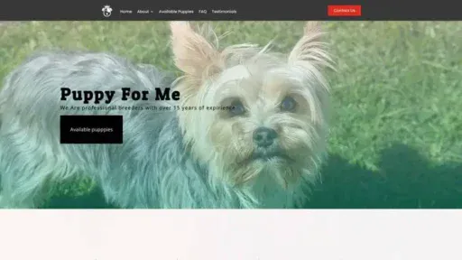 Screenshot of