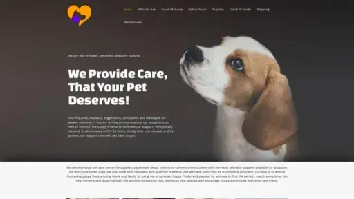 Screenshot of