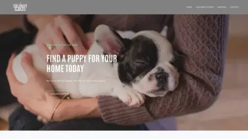 Screenshot of