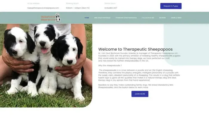 Screenshot of