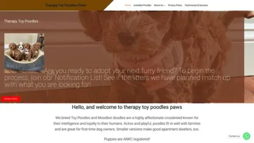 Screenshot of