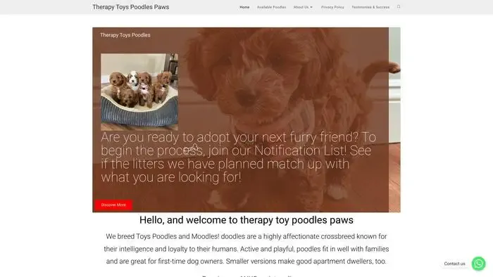 Screenshot of