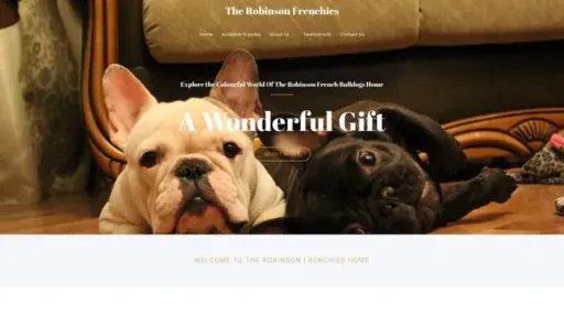Screenshot of