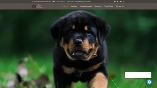 Screenshot of