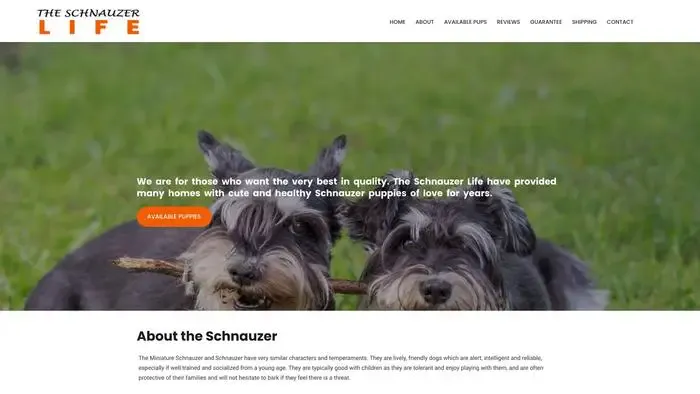 Screenshot of