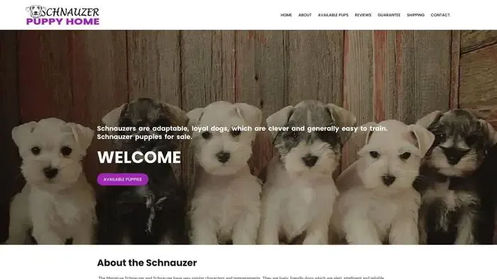 Screenshot of