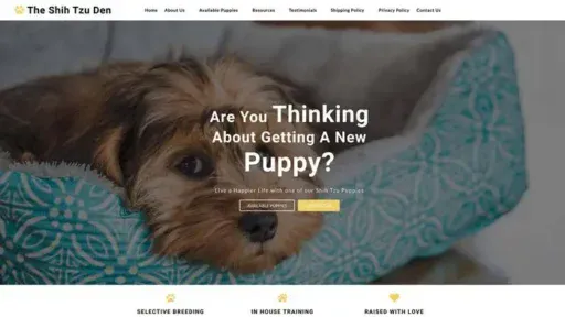 Screenshot of
