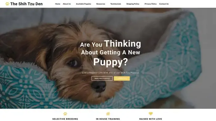 Screenshot of