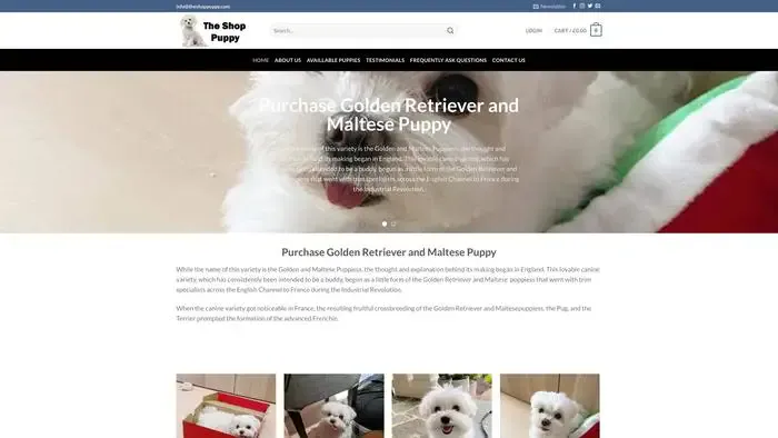Screenshot of
