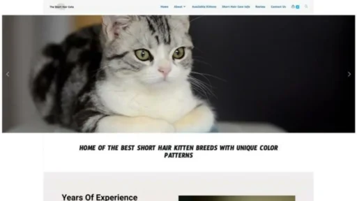Screenshot of||