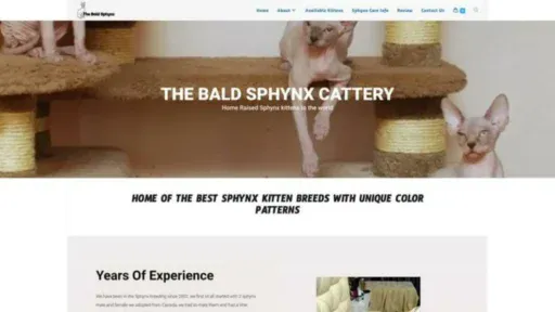Screenshot of||