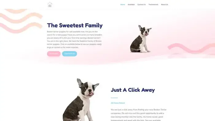Screenshot of