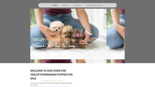 Screenshot of
