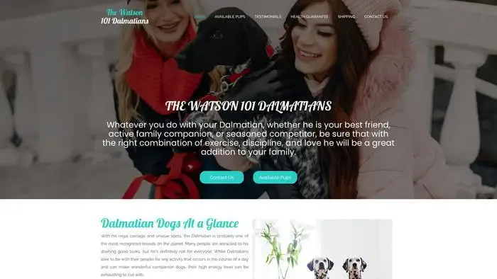 Screenshot of