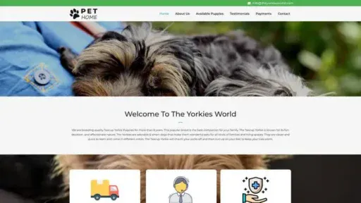 Screenshot of