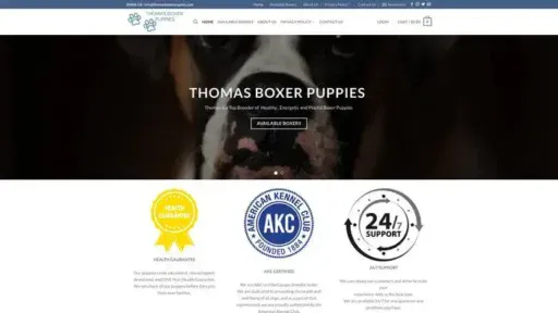 Screenshot of