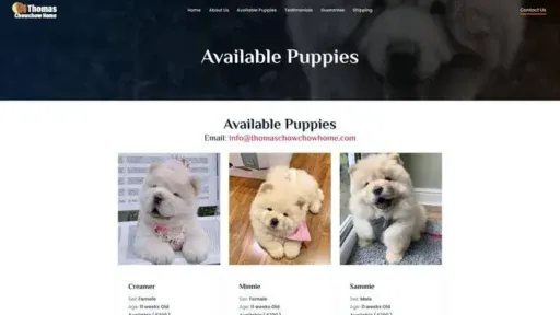 Screenshot of