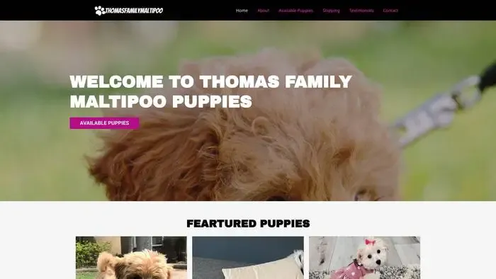 Screenshot of