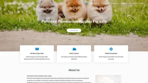 Screenshot of