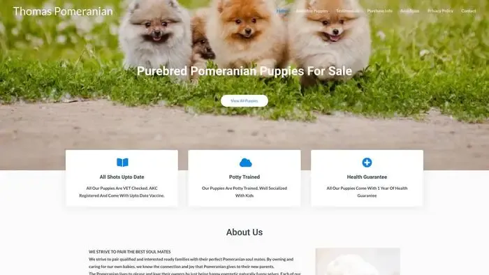 Screenshot of