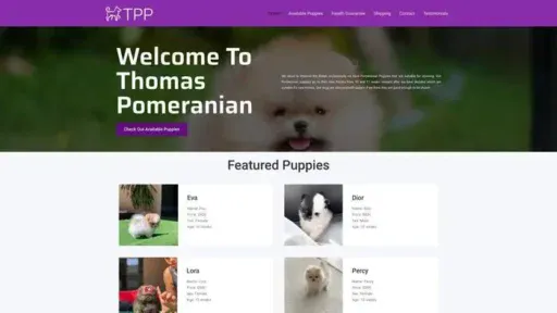 Screenshot of