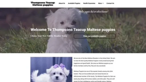 Screenshot of