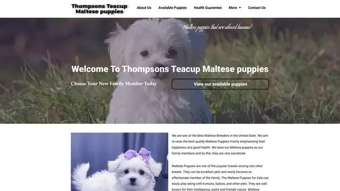 Screenshot of