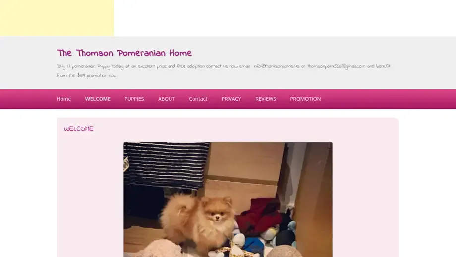 Screenshot of