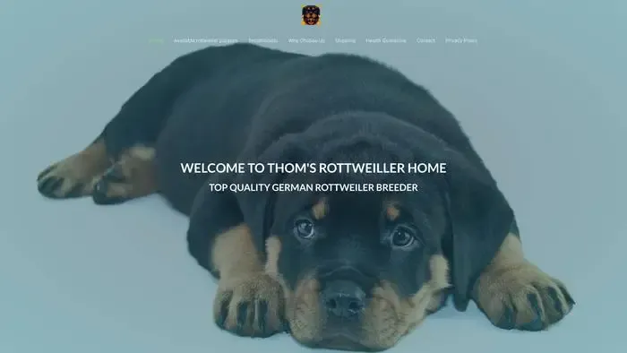 Screenshot of