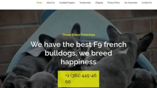 Screenshot of