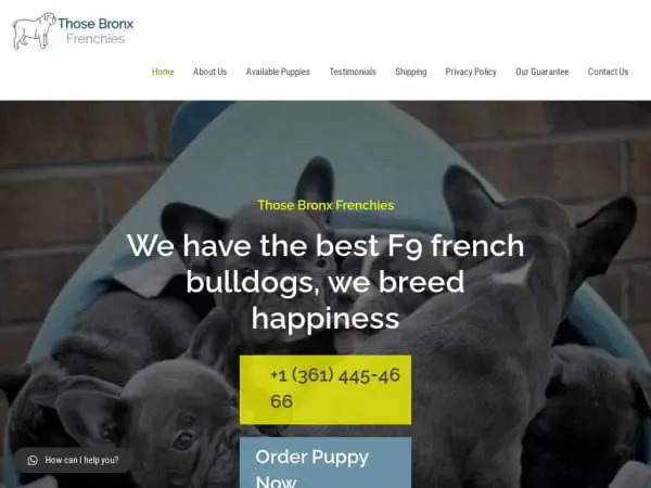 Screenshot of