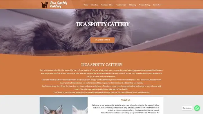 Screenshot of