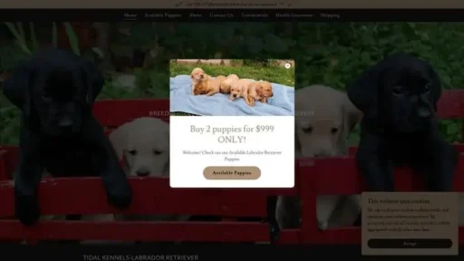Screenshot of