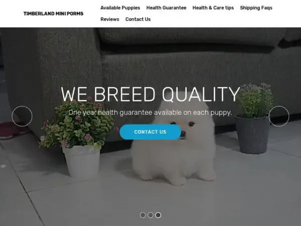 Screenshot of