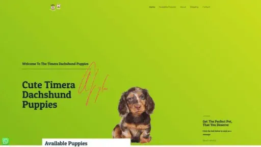 Screenshot of