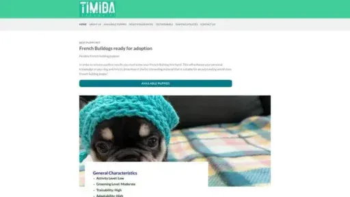 Screenshot of