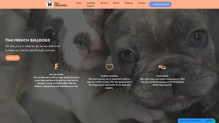 Screenshot of