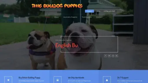 Screenshot of