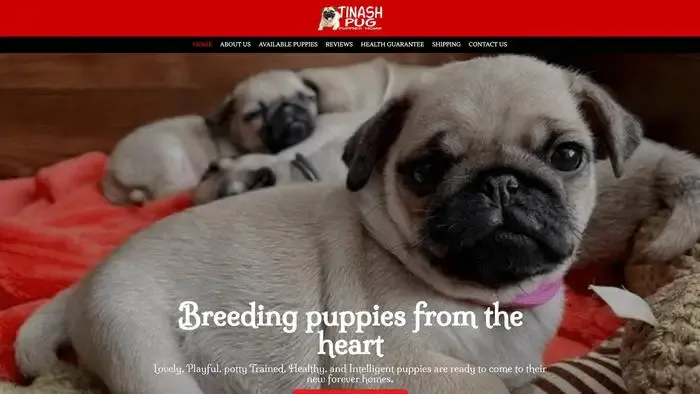 Screenshot of