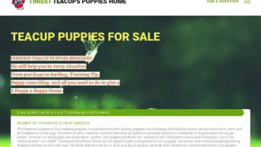 Screenshot of