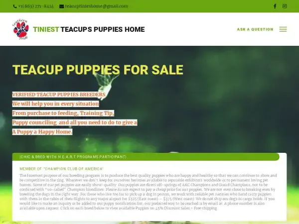 Screenshot of