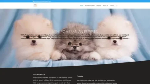 Screenshot of